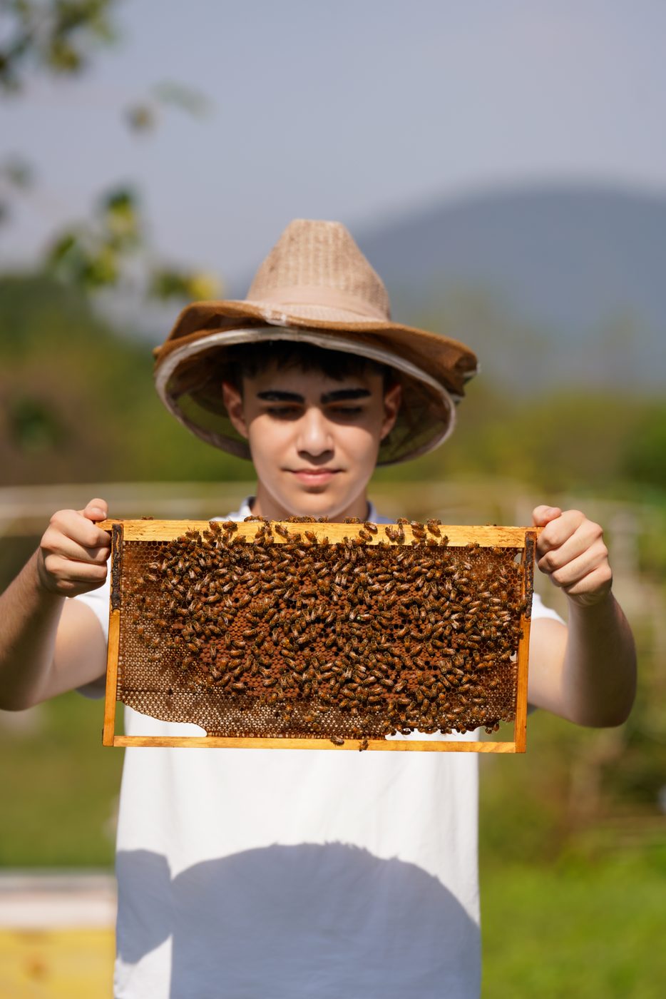 BeeUnite founder Ramazanzade Habib holds up a frame covered with bees
